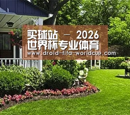 买球站 - 2026世界杯专业体育赛事竞猜平台