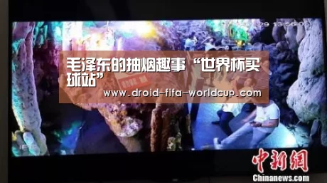 世界杯买球站