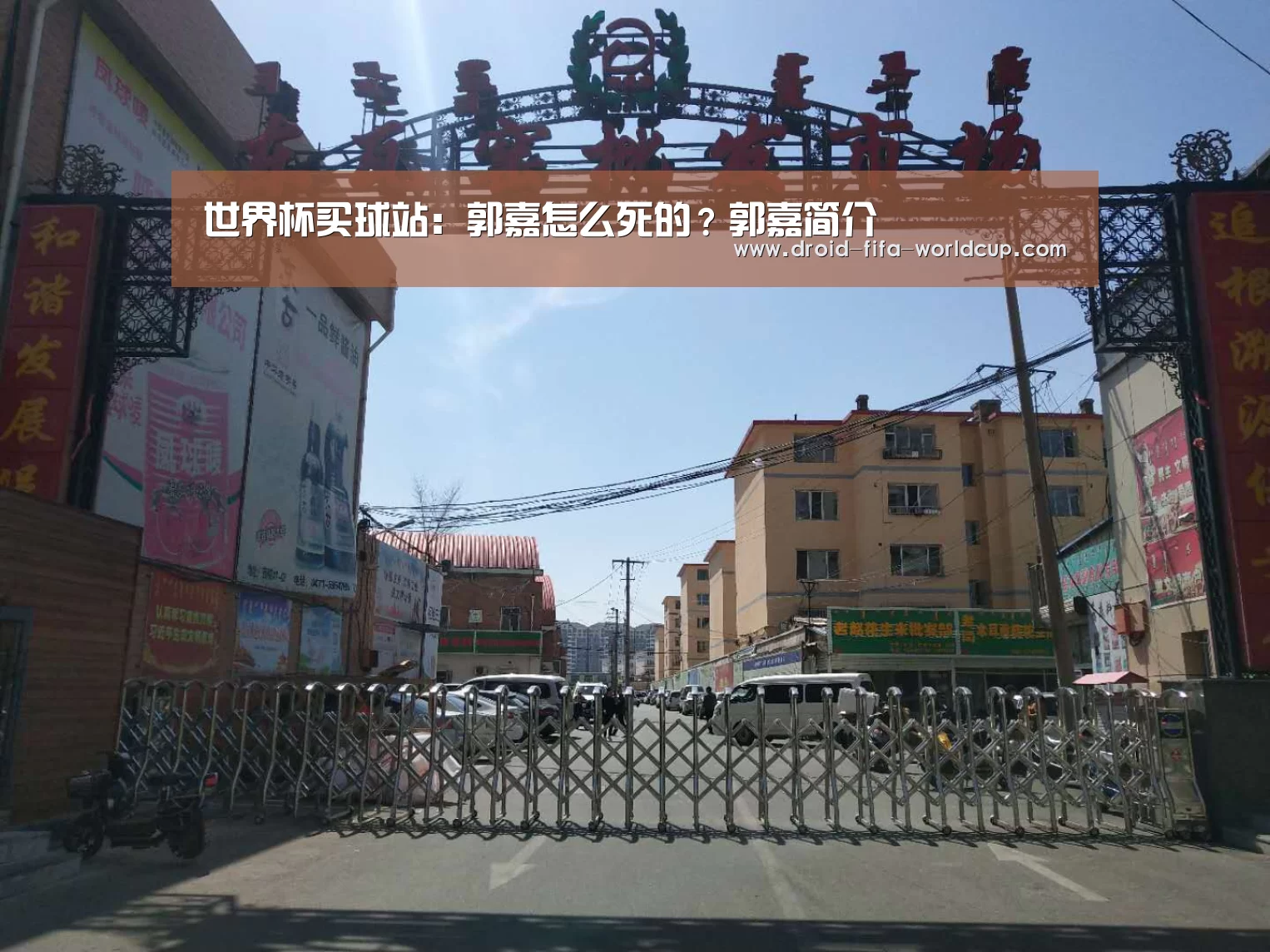 世界杯买球站:郭嘉怎么死的?郭嘉简介(图2) 买球站