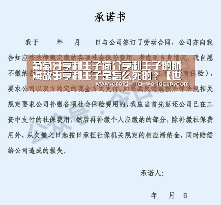 葡萄牙亨利王子简介亨利王子的航海故事亨利王子是怎么死的?【世界杯买球站】(图3) 世界杯买球
